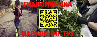 крисы Гусь-Хрустальный