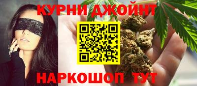 сатива Кингисепп