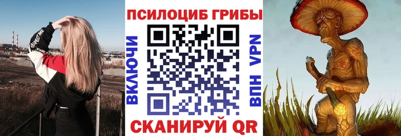 kraken сайт  Кисловодск  Псилоцибиновые грибы мухоморы  купить  