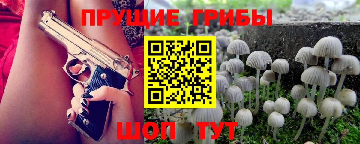 Кисловодск  Псилоцибиновые грибы мухоморы  продажа наркотиков  Галлюциногенные грибы Magic Shrooms  Вход с VPN 
