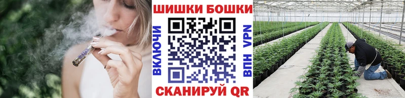 МЕГА как зайти  Кисловодск  Бошки марихуана конопля 